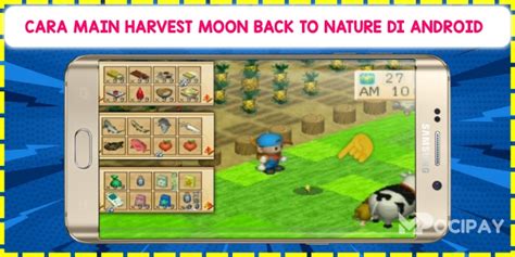 Cara Mainkan Harvest Moon: Back to Nature di .